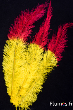 Autruche - 30-40 cm - jaune-rouge